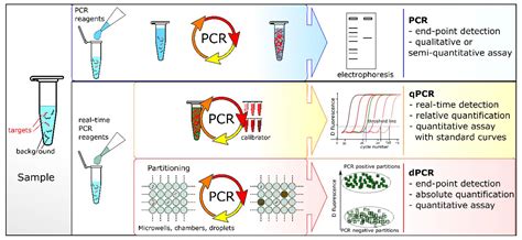 dPCR: A Technology Review .